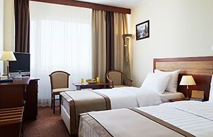 Business Plus Twin room